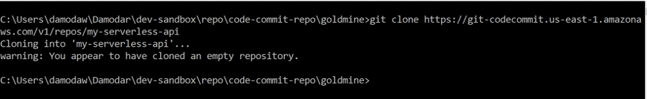 Git clone empty repository