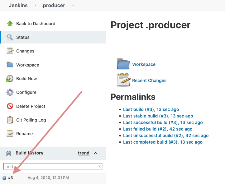 Jenkins project builds