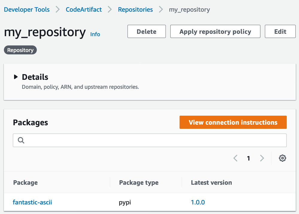 CodeArtifact console showing package