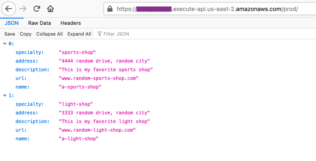 Screenshot showing the API output