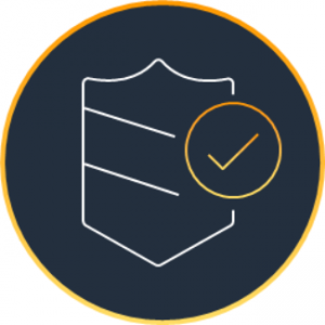 Picture showing a checkmark put on security