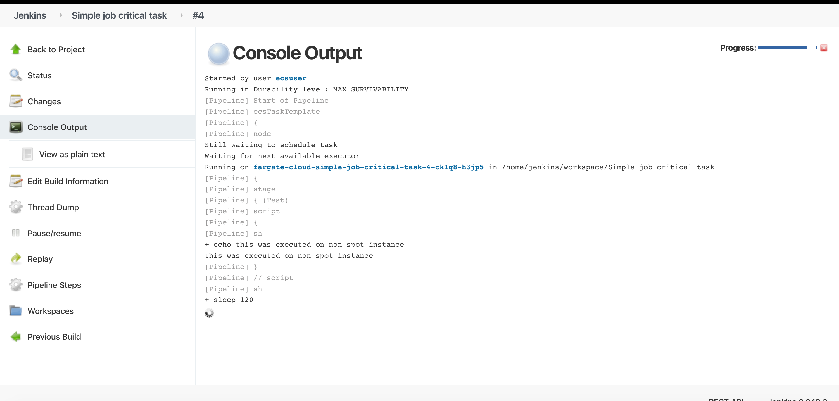 This picture depicts the Jenkins job console output.