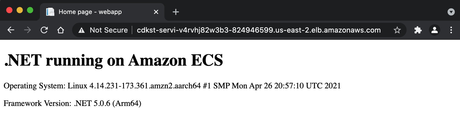 Browser navigating to .NET application