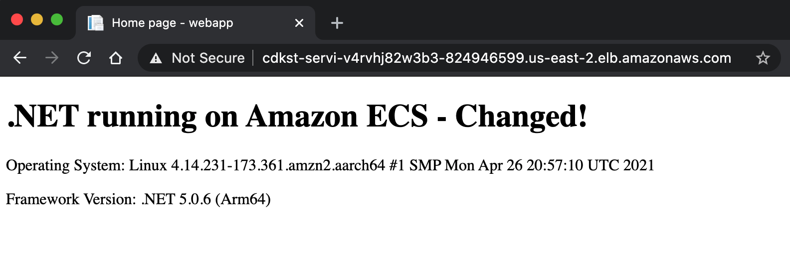 Show browser navigating to updated .NET application