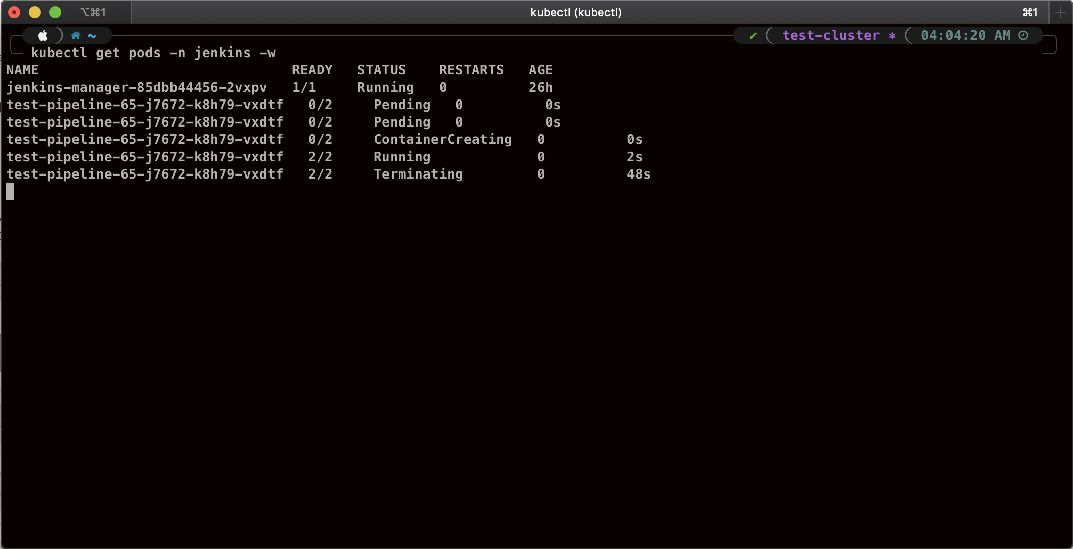 CLI output showing Jenkins POD status