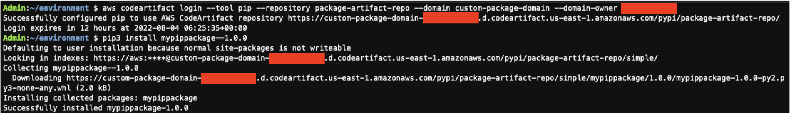 Screenshot showing CodeArtifact login