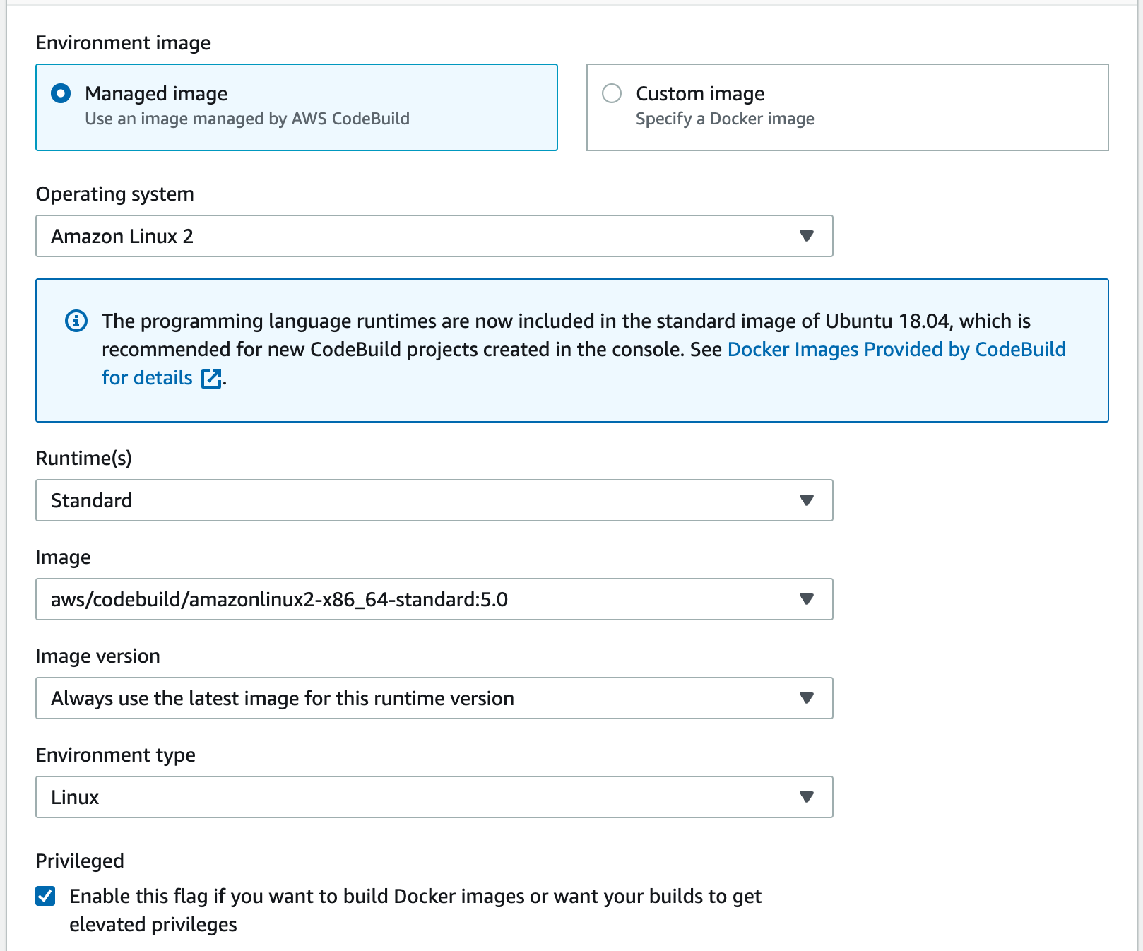 Environment configuration showing the standard image on Linux and the privileged flag enabled.