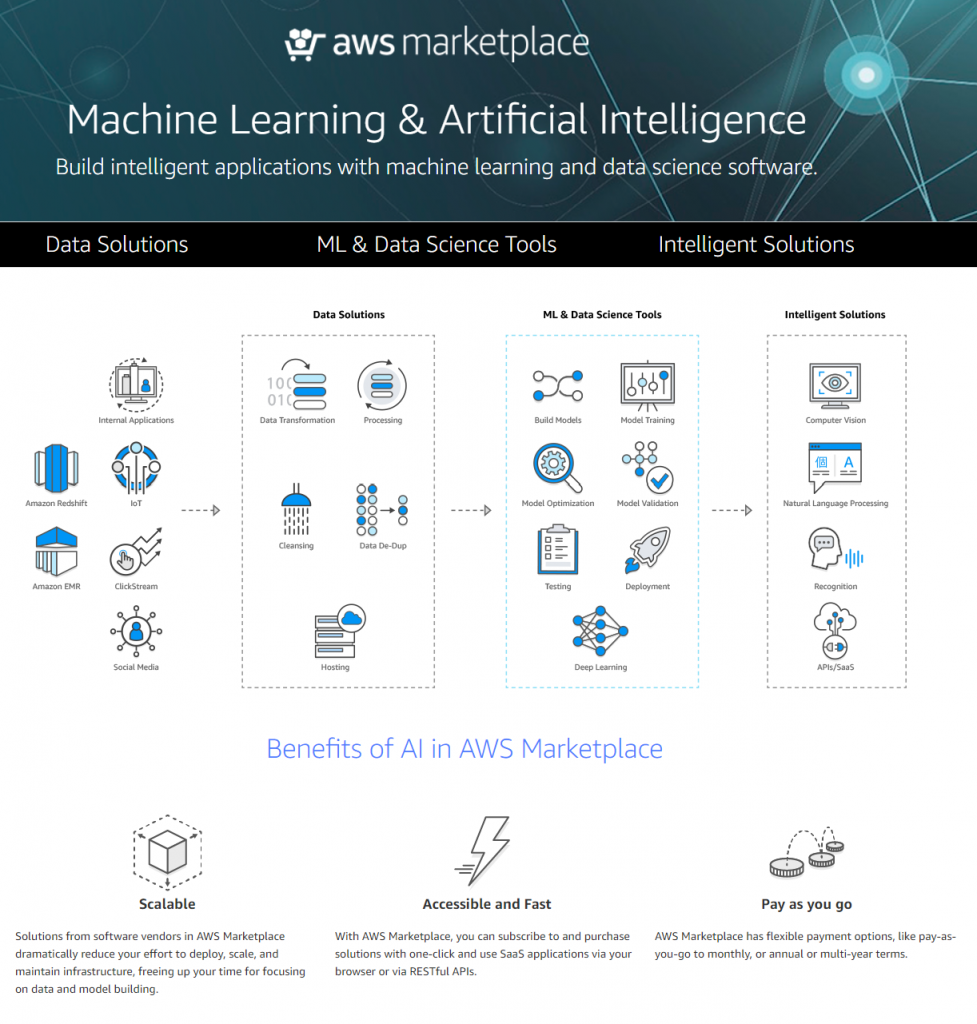 AWS Marketplace ML and AI page