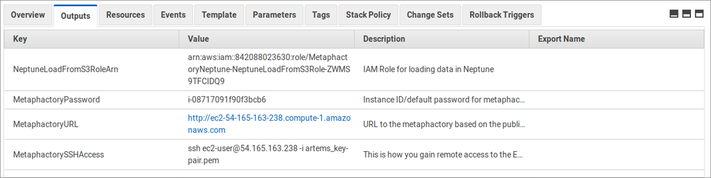 Neptune-Metaphactory-5
