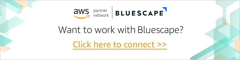 Bluescape-APN-Blog-CTA-1