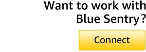 Blue-Sentry-APN-Blog-CTA-2022