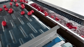 002-tomatoes-compressed