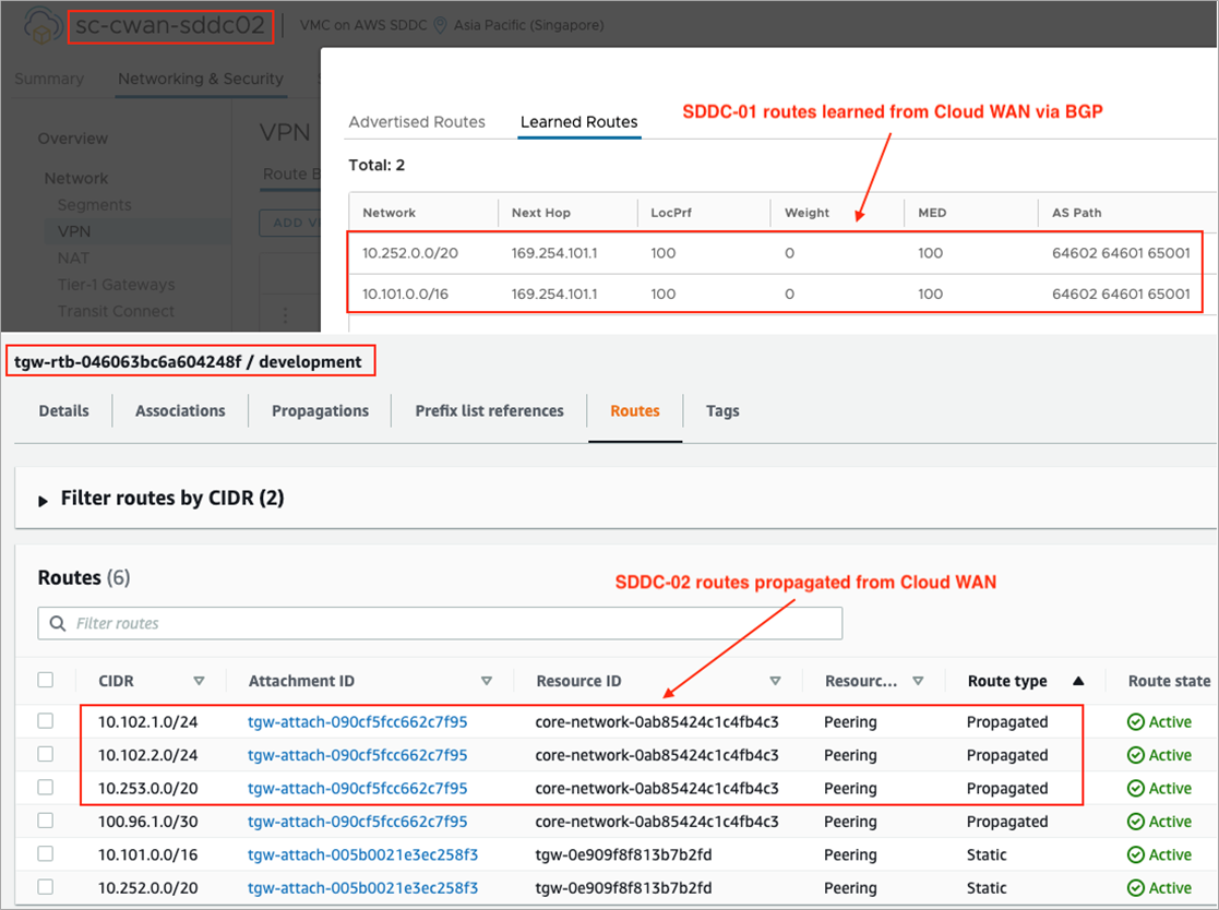 VMC-AWS-Cloud-WAN-12