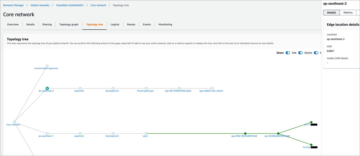 VMC-AWS-Cloud-WAN-13