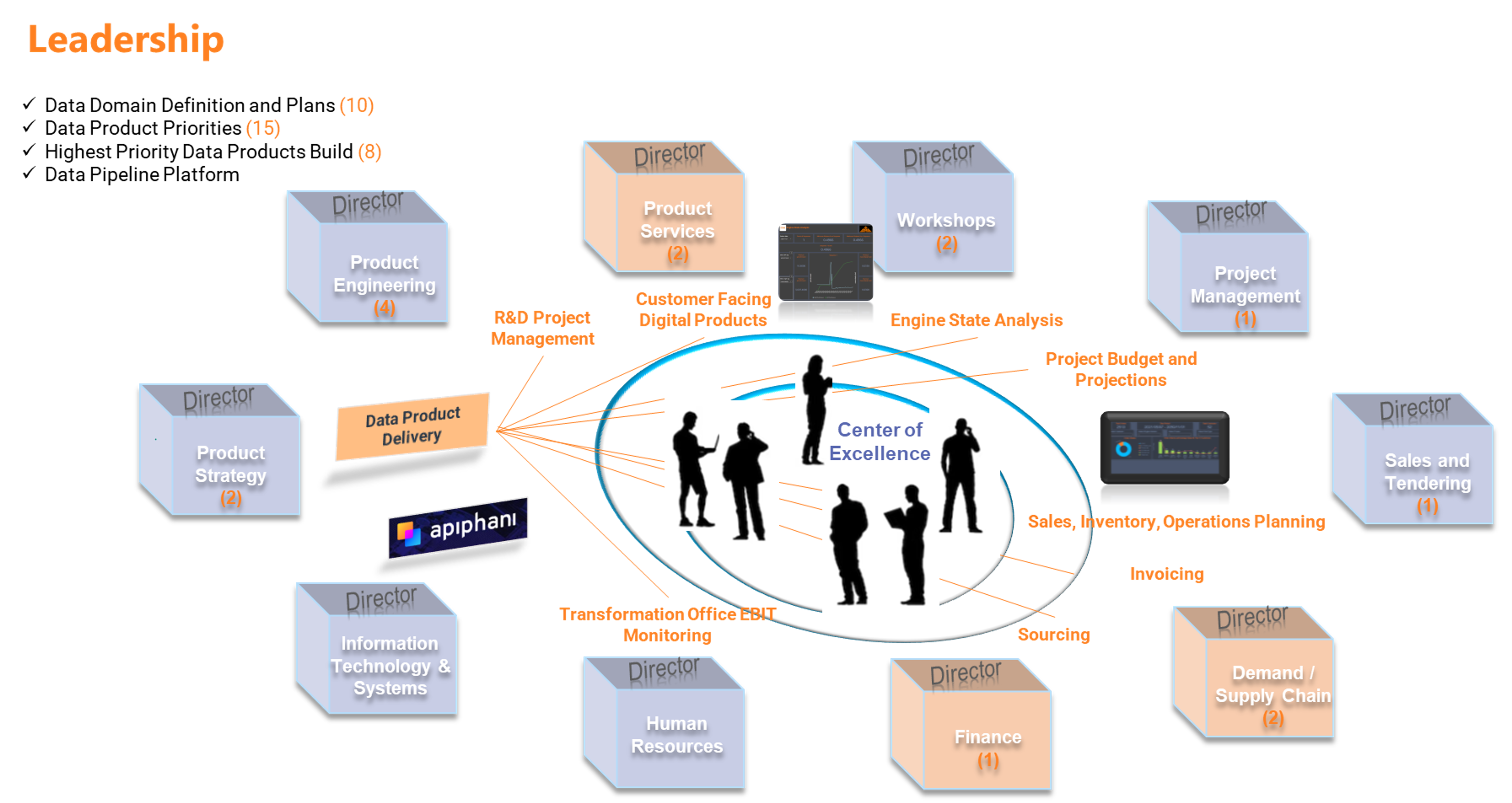 Apiphani's Managed Data Service Team Structure