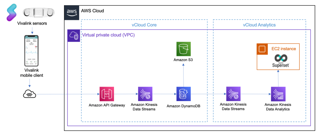 Vivalink technology architecture