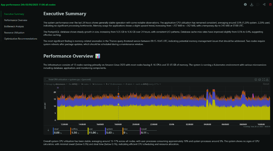Figure 2 – Example of Performance Optimization Report by Netdata Insights