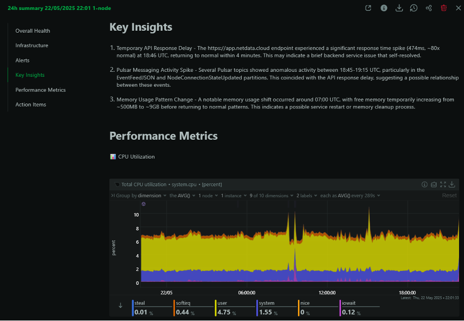 Figure 4 – Example of Infrastructure Summary Report by Netdata Insights