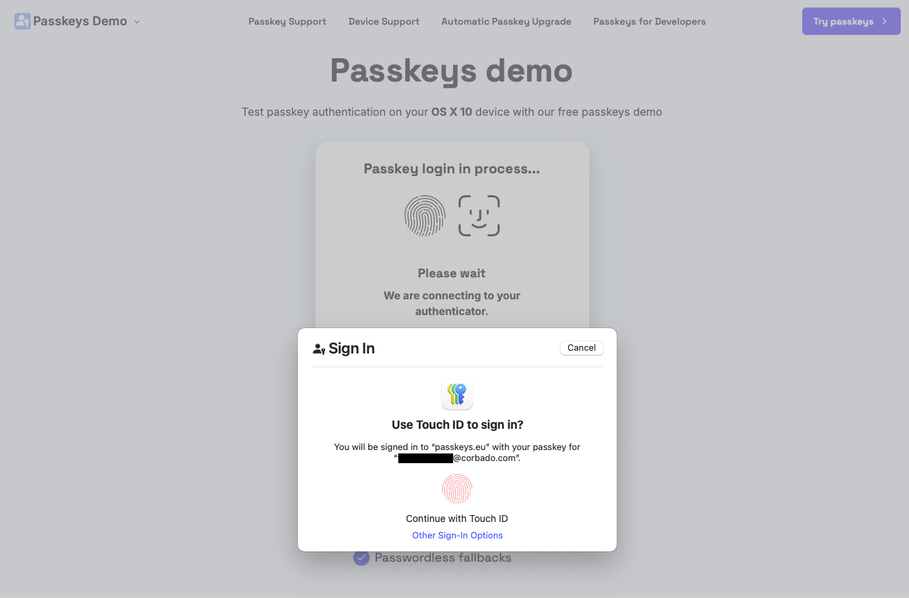 Passkey Sign-in