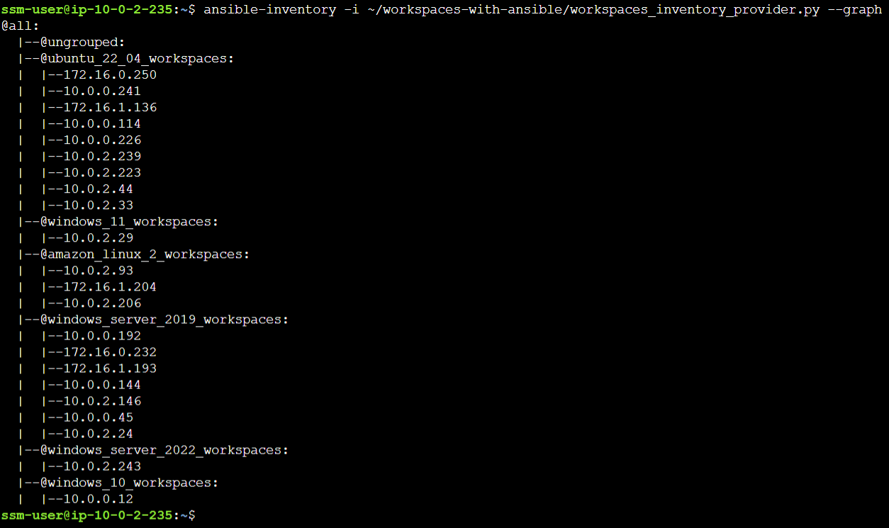 This picture depicts the `ansible-inventory` command when used with the WorkSpaces dynamic inventory provider module Python script.