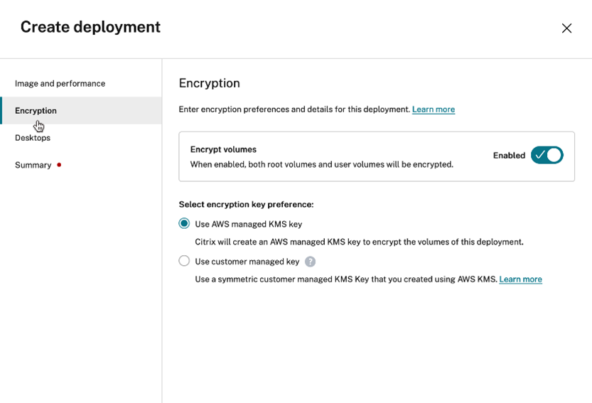 Citrix DaaS Deployment options for volume encryption