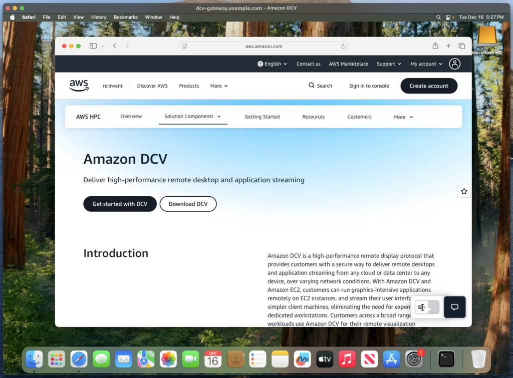 DCV Viewer streaming an EC2 Mac desktop