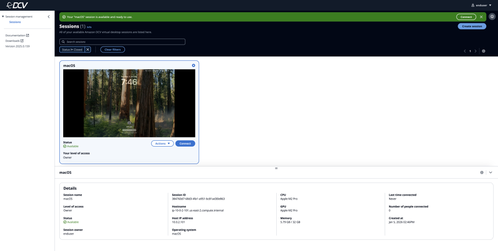 CV Access Console's user view for connecting to a DCV session