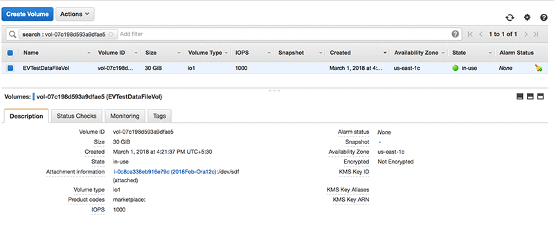 30GBのボリュームサイズを確認するコンソールスクリーンショット