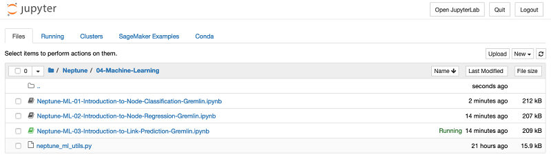 On the Neptune console, &nbsp;launch the notebook associated with the cluster you created.