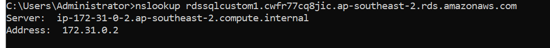 Figure 6. IP address of the RDS instance