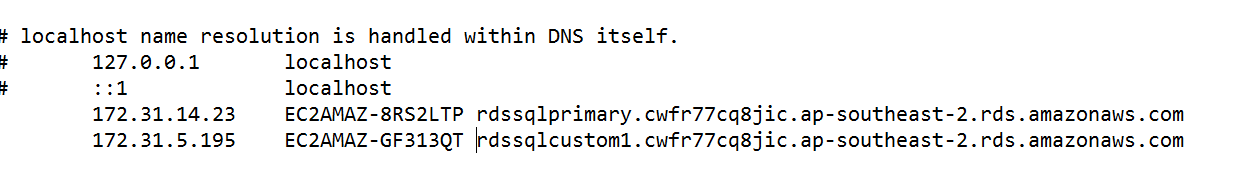 Figure 7: Map the RDS instance IP address and hostname