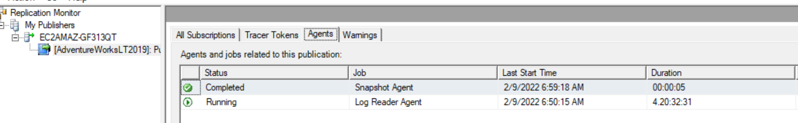 Fig 13: Status of Replication in Replication Monitor
