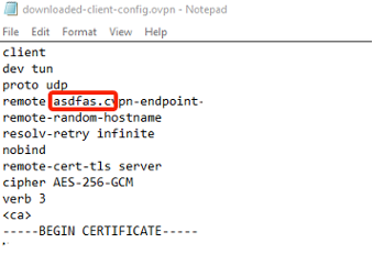 OVPN modified DNS name