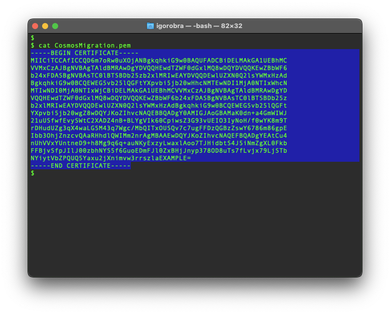 In the private key parameter, copy and paste the whole private key content as text