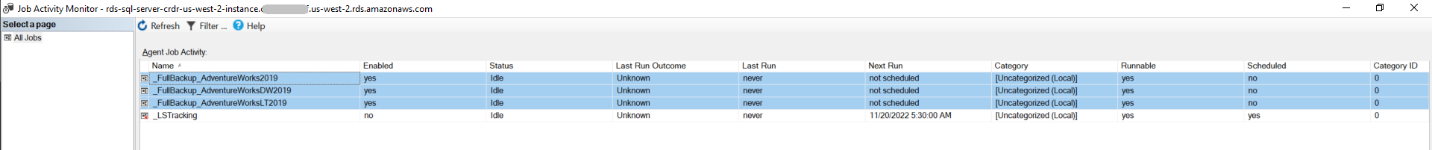 Figure 3: Job Activity Monitor