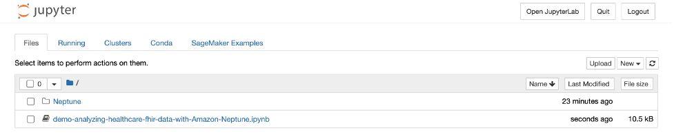Screenshot of Neptune workbench directory structure