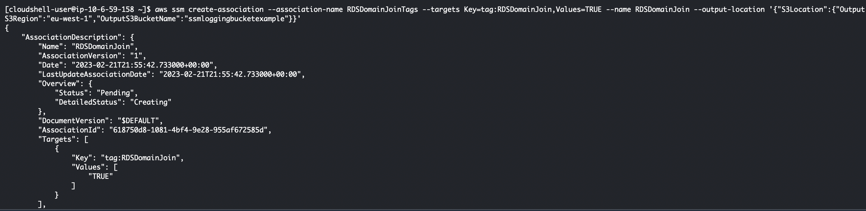 AWS CLI Output - SSM State Manager Association