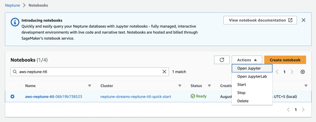 Opening Jupyter notebook