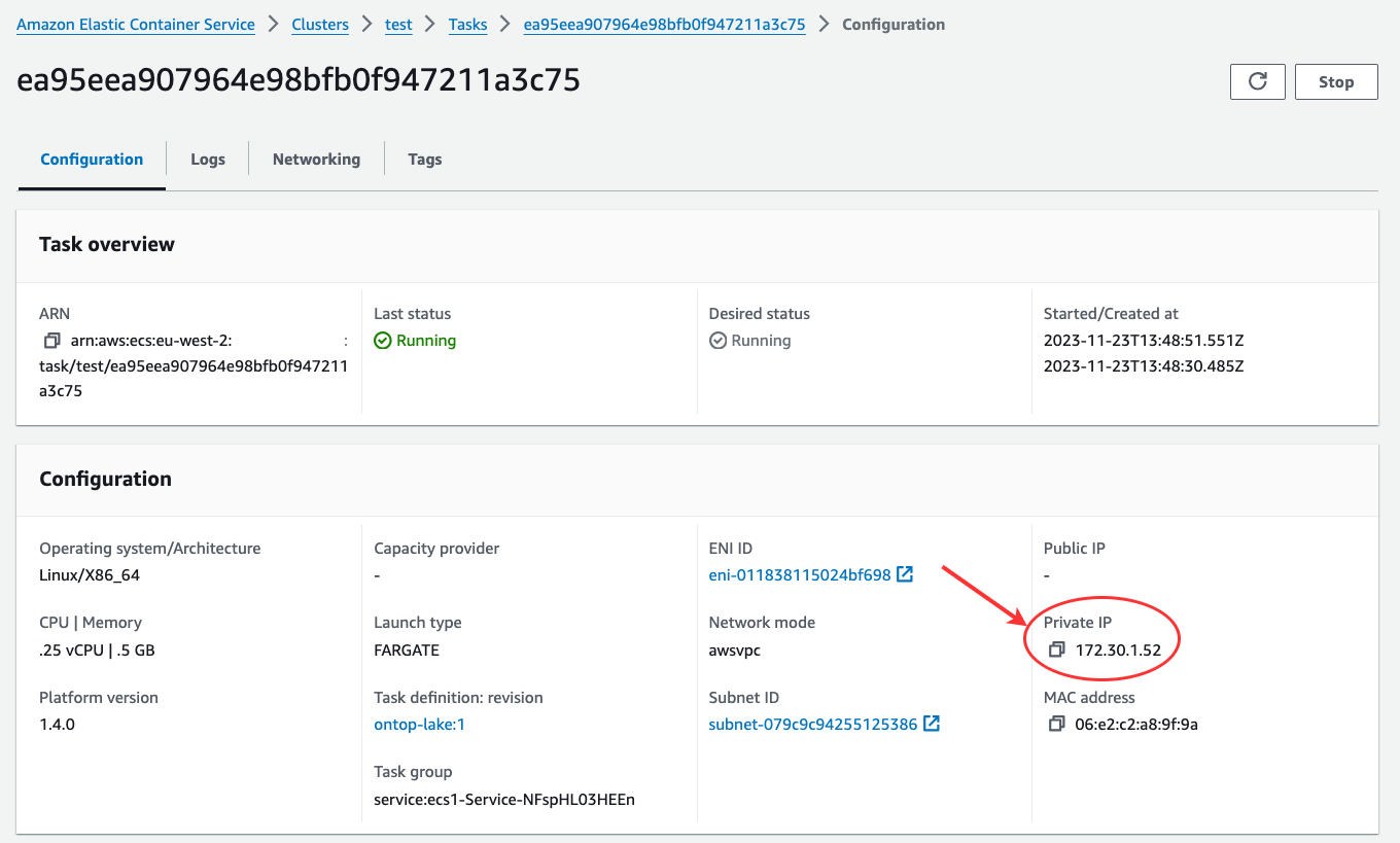 ECS task private IP