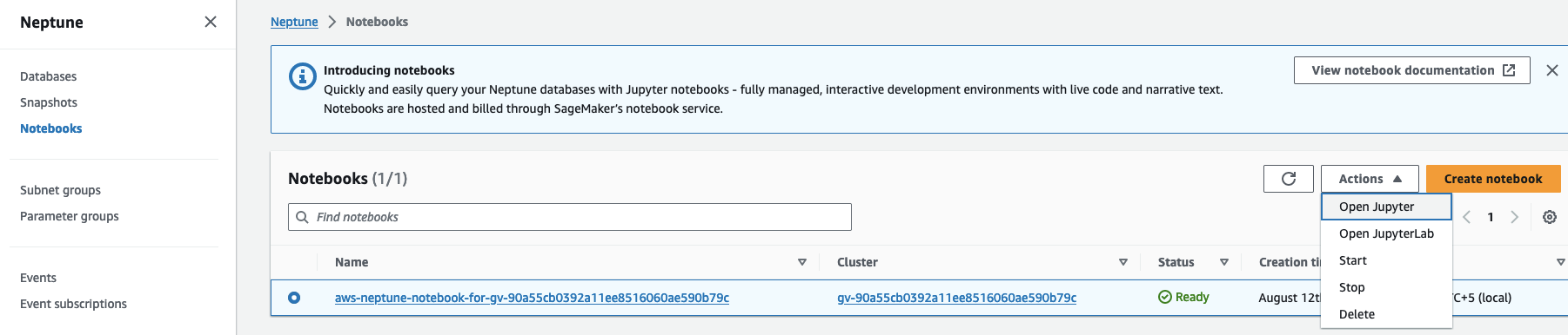 Open Neptune Workbench