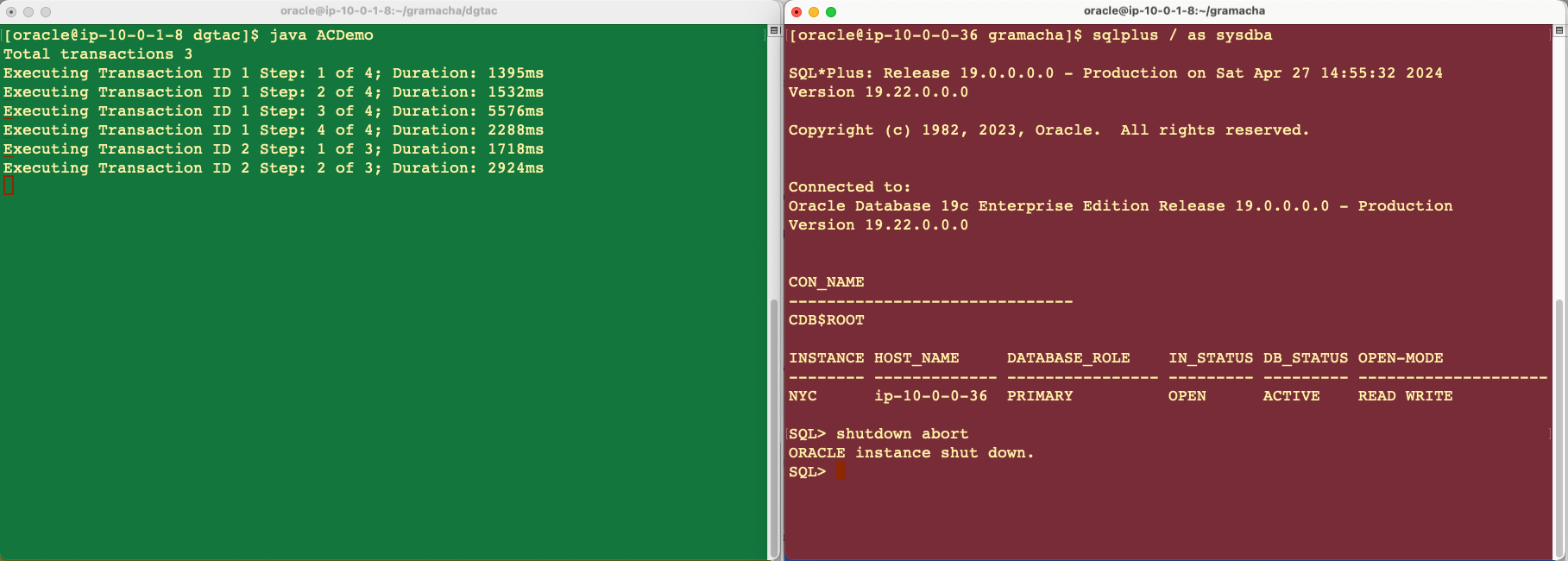 Application waits as the database failover is initiated