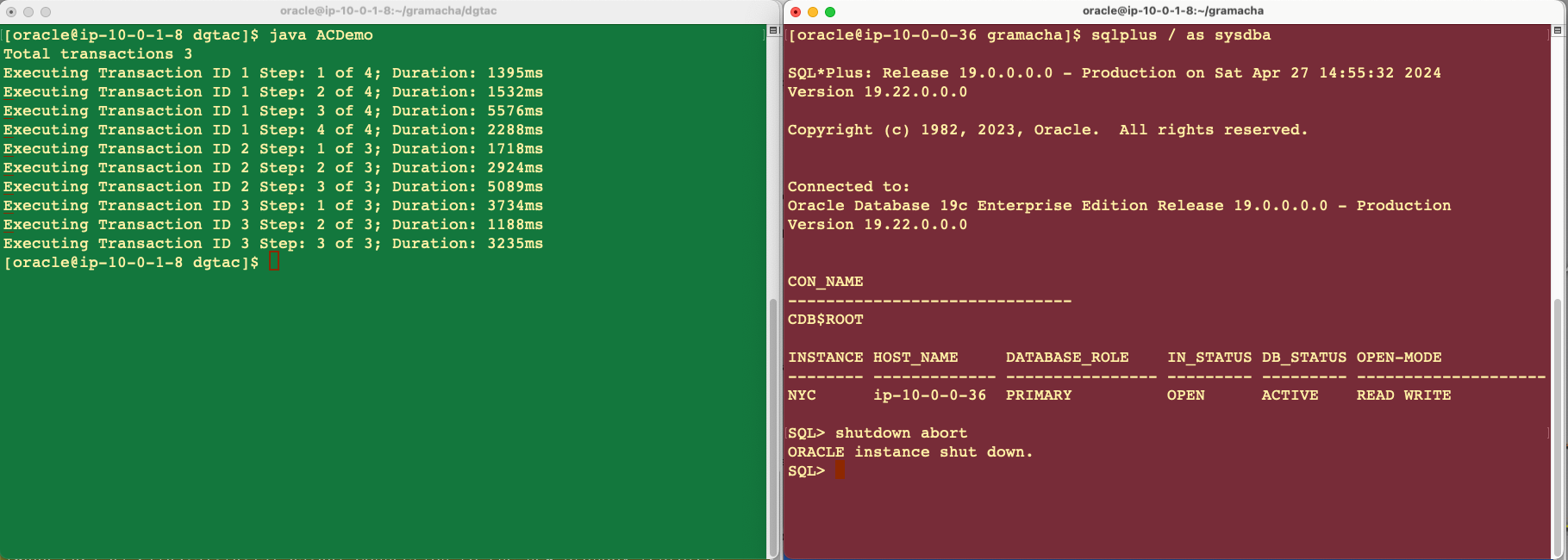 Application resumes and finishes as the database failover is completed