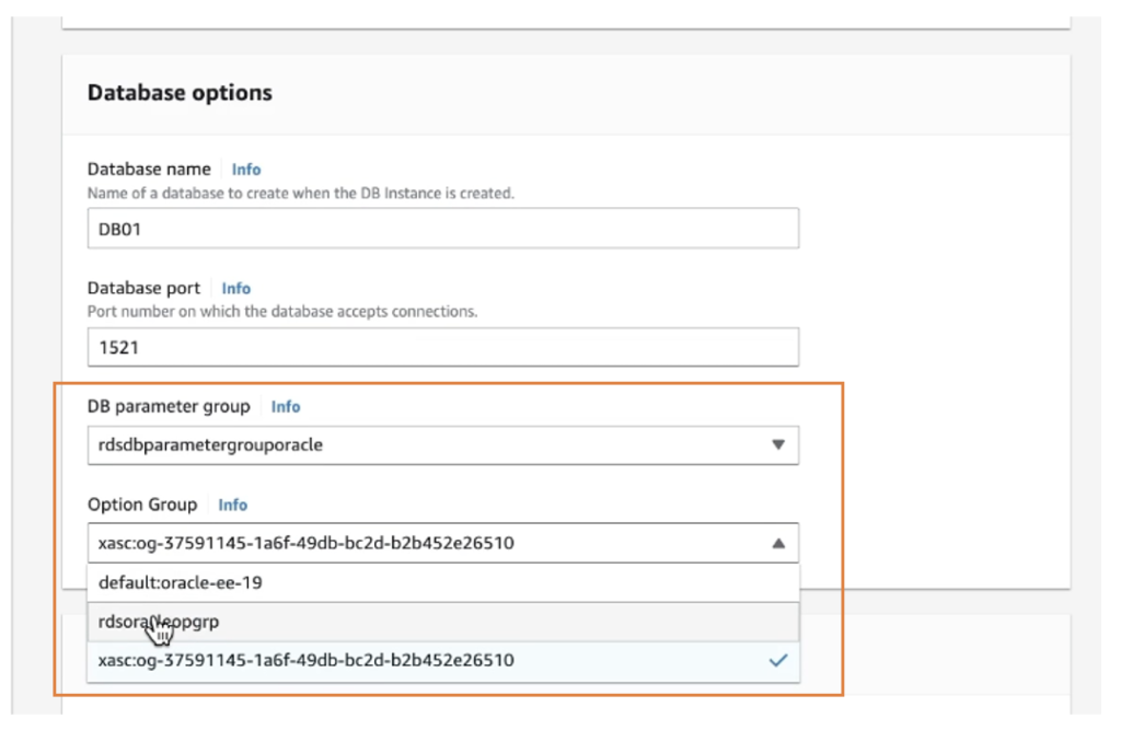 AWS Backup restore of RDS for Oracle database parameter and option group selection