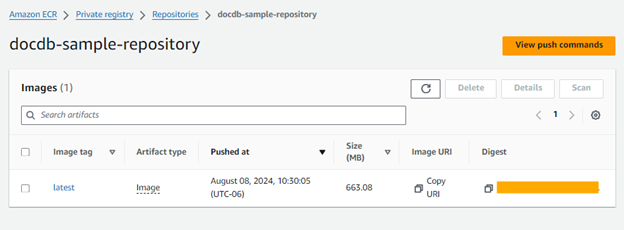 confirm on the Amazon ECR console