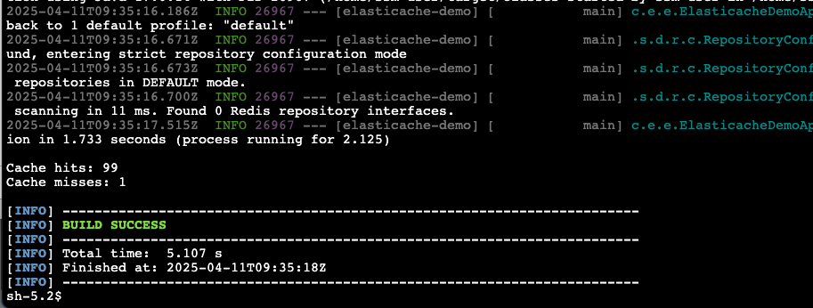 Spring Boot application runs and outputs cache hits and misses