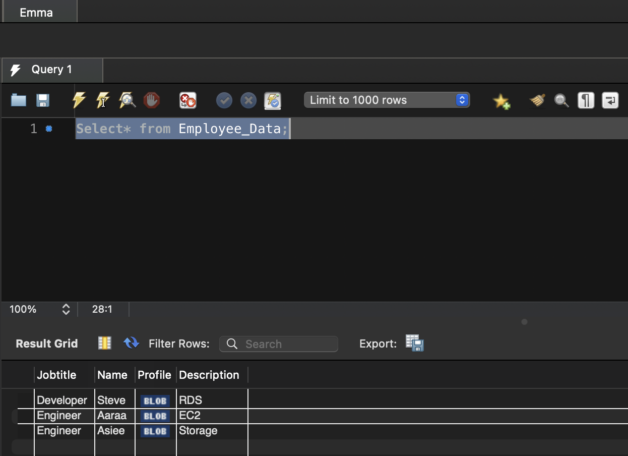 DBBLOG-4695-Test from Employee_Data View from Emma