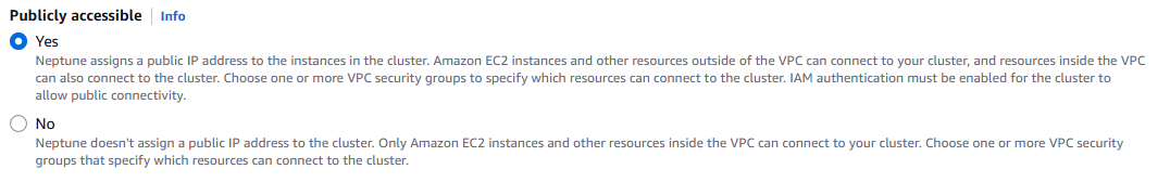 AWS Neptune configuration interface showing public accessibility toggle with VPC security and IAM authentication details
