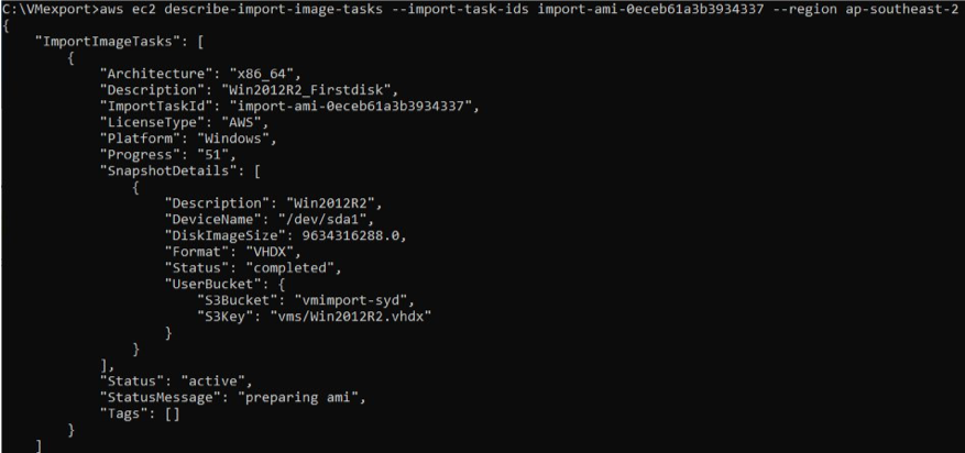 Figure 3 - Screenshot of AMI Preparation