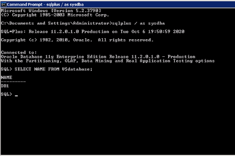 <alt_text: Oracle Database is up and running on packaging machine>
