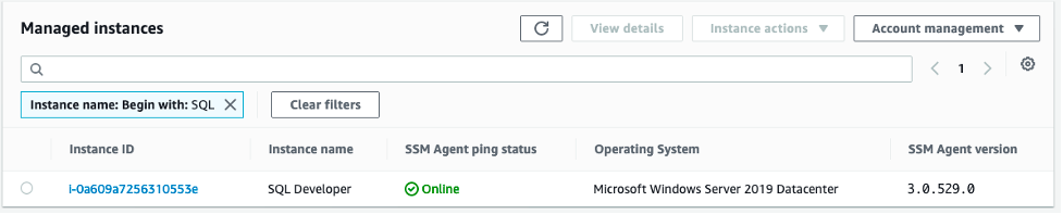 Viewing the target instance in Fleet Manager.